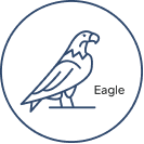 Eagle: The Planner Discovery, Assessment, Planning & Optimization tool by Onix