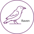 Raven: The Transformer Automated Workload Conversion & Translation tool by Onix