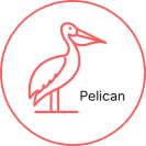 Pelican: The Validator AI-Enabled Data Validation & Reconciliation tool by Onix